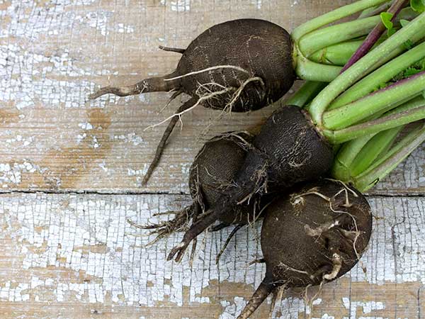 Ismerd meg a fekete retket - recepttel - Stylekids - Gasztronómia - egészség, fekete retek, 