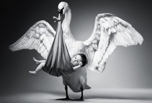 Pólyázás vagy bugyolálás? - Stylekids -  - angol pólya, baba bugyolálás, bugyola, kókuszpólya, milyen pólyát válasszak, pólya, pólyázás, 