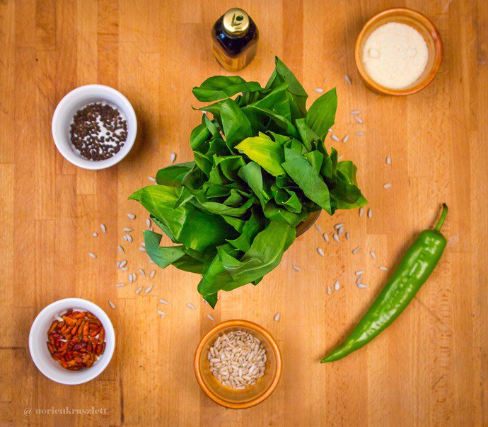 Valódi tavaszhírnök: a medvehagyma - STYLELIFE - Gasztronómia - a mi konyhánk, gregorits nóra, medvehagyma, recept, 