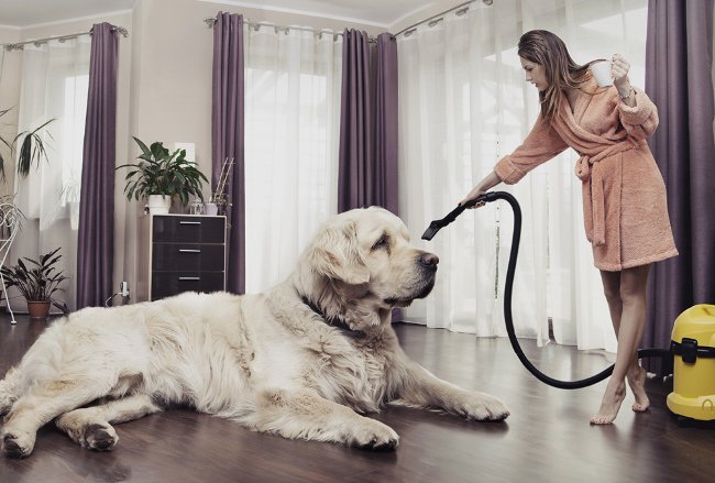 Baktériumfogók az otthonodban - STYLELIFE - Otthon & Design - baktérium, egészség, higiénia, otthon, tisztaság, 