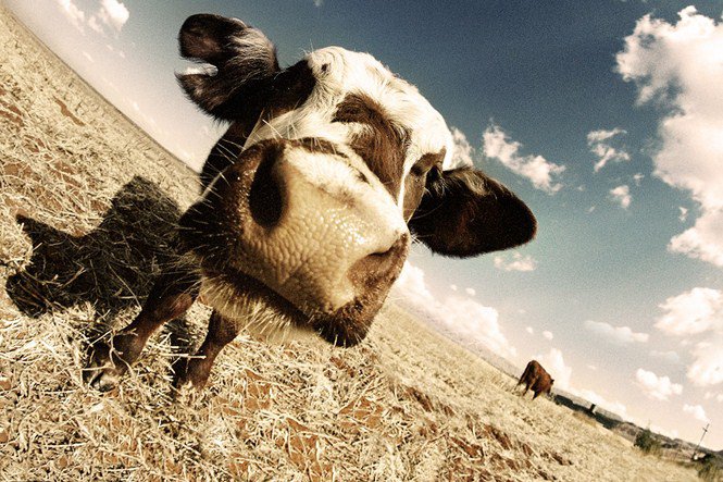 Grant Legassick - Dél-Afrika értő fotósa - Utazás - Fesztelen mindennapok - Dél-Afrika, érdekességek, fényképészet, 