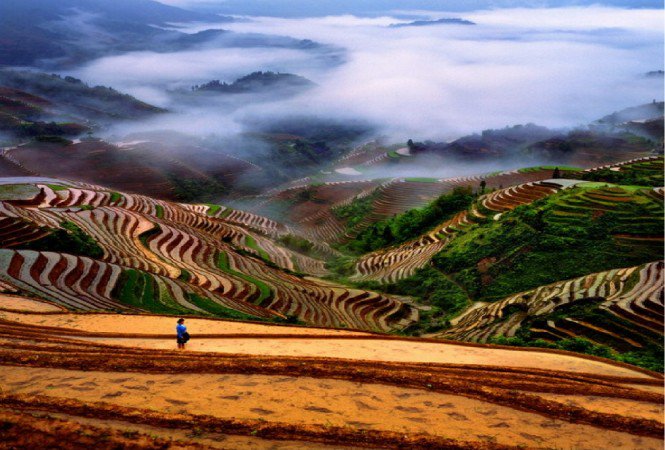 Ismerd meg a rizst - Stylekids - Gasztronómia - barna rizs, riszkészítés, rizs, rizs a táplálkozásban, rizs értékei, 