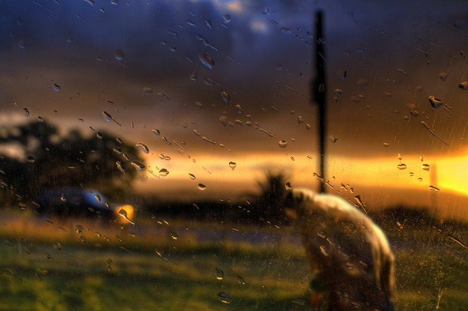 Grant Legassick - Dél-Afrika értő fotósa - Utazás - Fesztelen mindennapok - Dél-Afrika, érdekességek, fényképészet, 