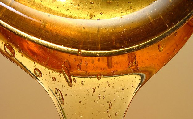 Mire jó a pálmafa szirup? - STYLELIFE -  - cukorpálma, kókuszpálma, olajpálma, pálmafa, 