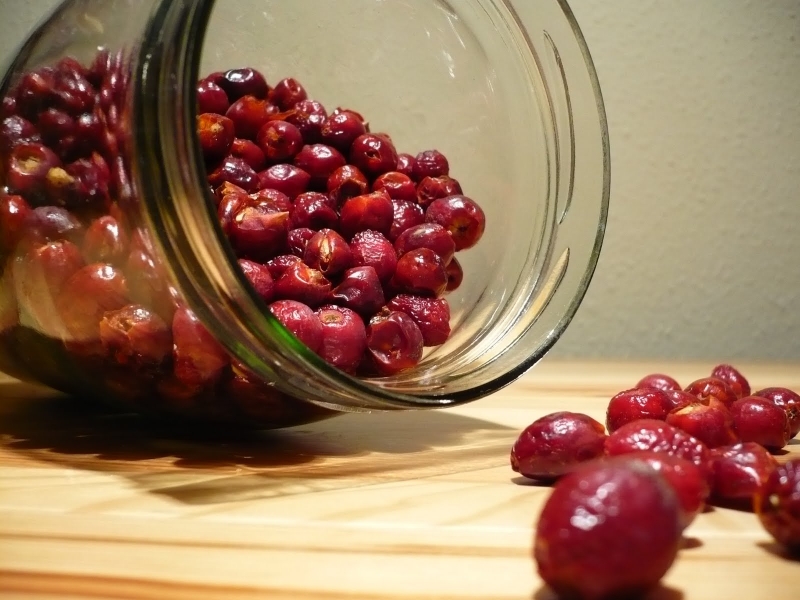 A csipkebogyó jótékony hatásai - Stylekids - Gasztronómia - csipkebogyó, csipkebogyó tea, hecsempecs, tea, 