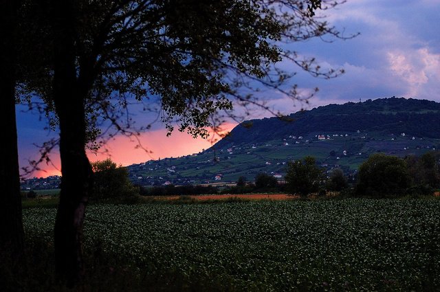 Csúcsborok a csúcsmustrán -  -  - bor, bormustra, borverseny, 