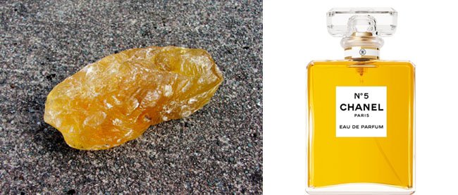 8 bizarr szépségkezelés - SZÉPSÉG -  - beauty, bizarr szépségkezelések, szégség, 