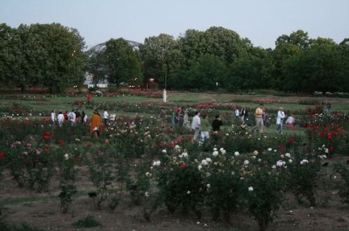 Hatodszor gyűlnek össze a Kárpát-medence borászai -  -  - 