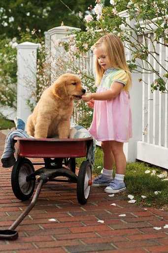 Kerti játékok nyárra - Stylekids -  - chinese jump rope, családi játék, gyerekjátékok, kerti játék, 