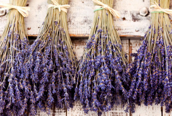 Hűsítő fűszernövényeink - STYLELIFE - Gasztronómia - egészség, 