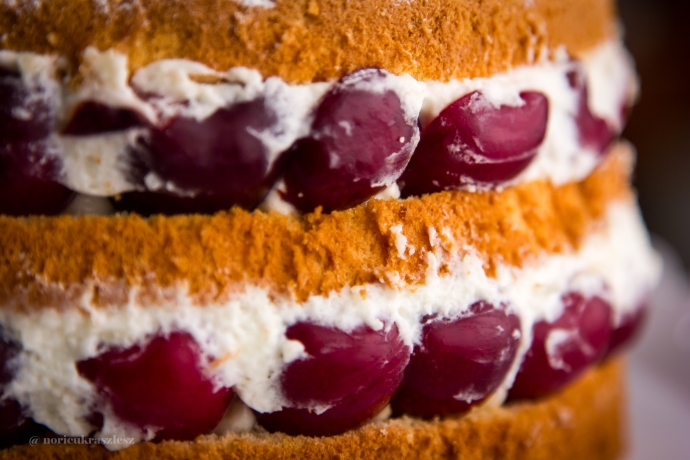 Cseresznyés-tejszínes torta kezdőknek - STYLELIFE - Gasztronómia - cseresznyés torta, gasztronómia, 