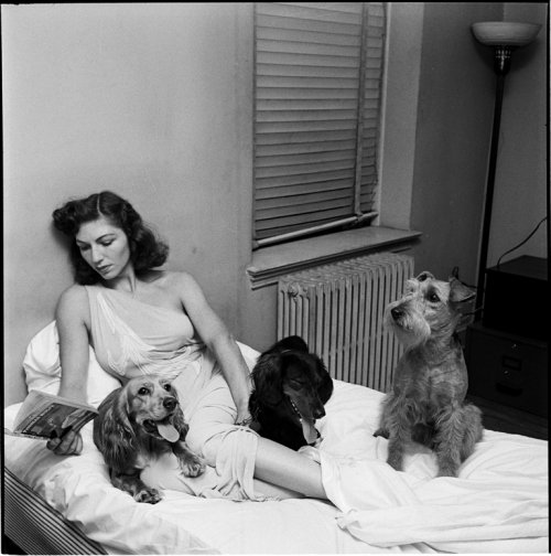 A boldogságot hamisítják - KERESD A NŐT  -  - rúzs és tükör, szentesi éva, 