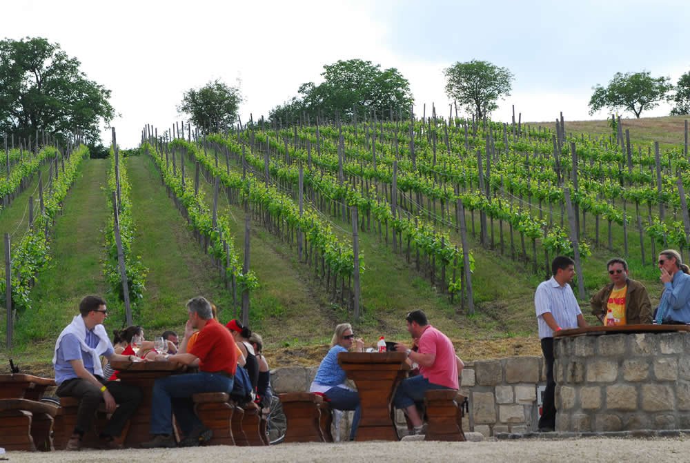 Holnaptól Etyeki Pincefesztivál -  -  - bor, Etyek, program, rendezvény, 