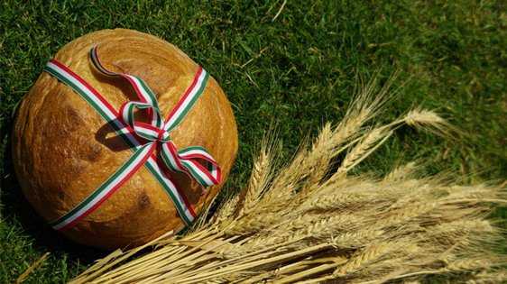 Augusztus 20-i programajánló - STYLENEWS - Rendezvények - programajánló, rendezvények, 