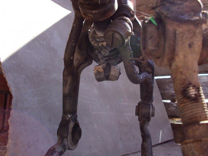 Ördögi pokolmacska Oroszországból - Otthon & Design -  - dizájn, érdekességek, 