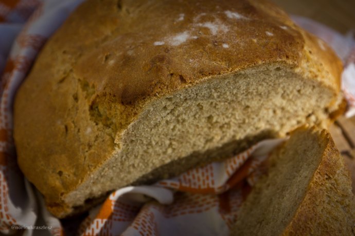 Mindennapi kenyerünk - STYLELIFE - Gasztronómia - gasztronómia, házi kenyér, sütés, 