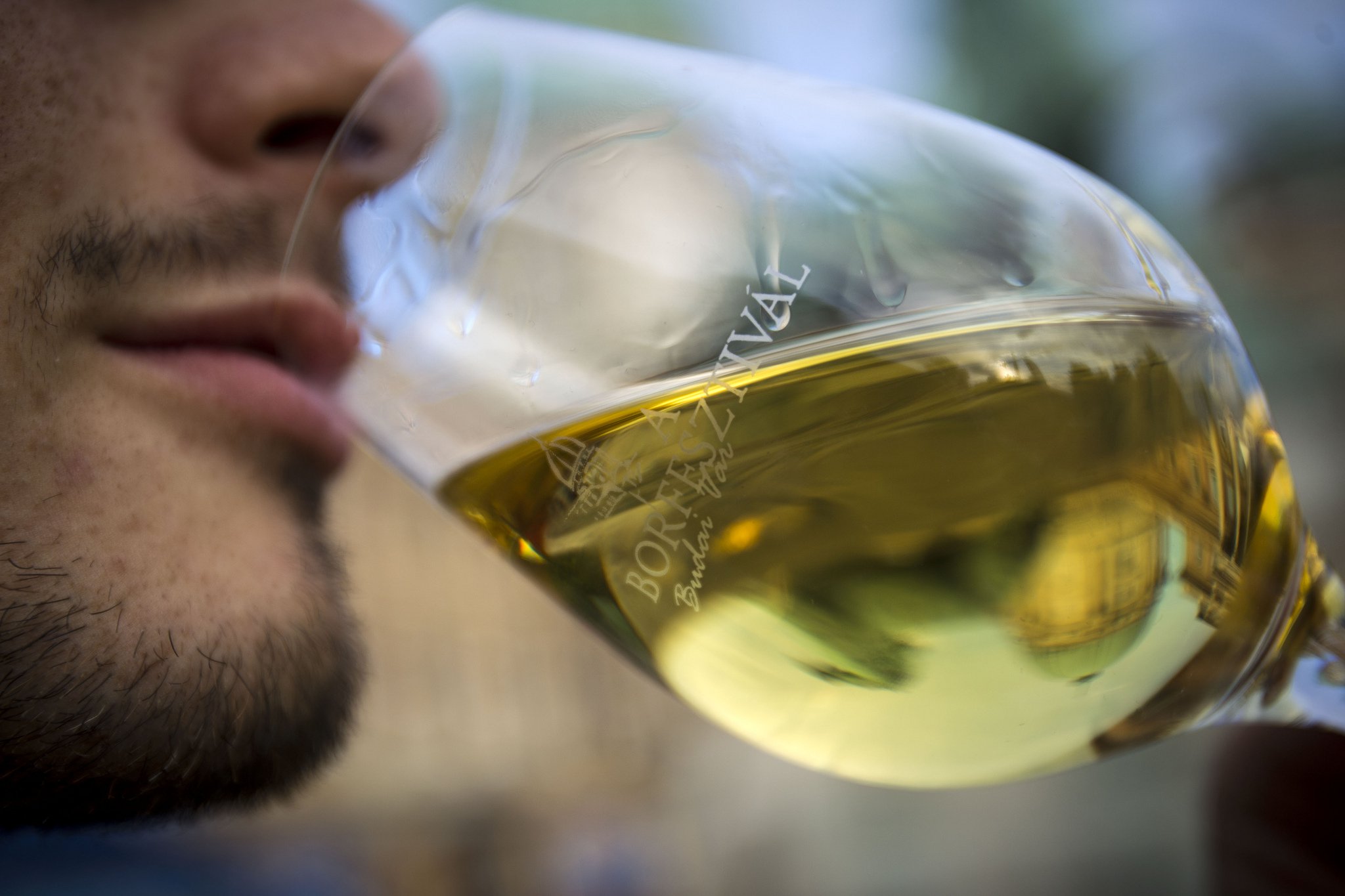 Vigyázz! Kész! Bor! - Rendezvények -  - borfesztivál, 