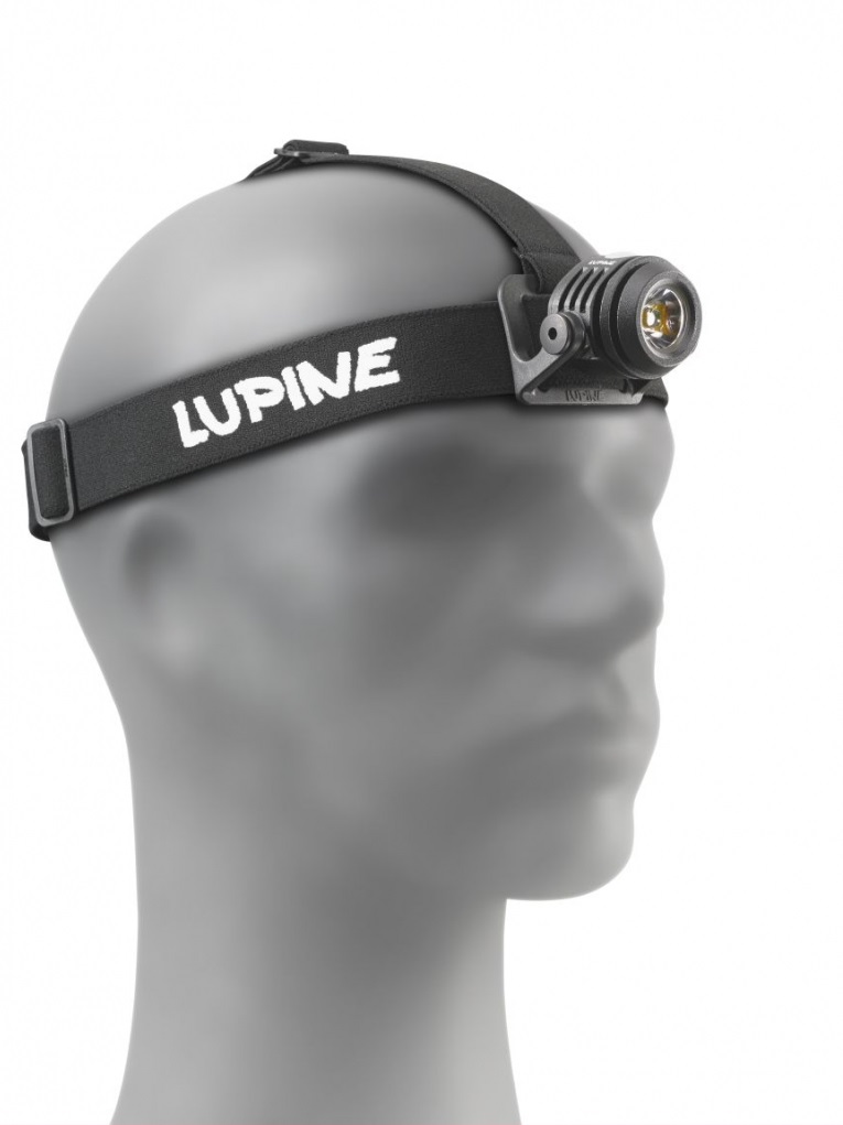 Miért a farkas? -  -  - lámpa, lupine lámpa, lupine, luxus, 