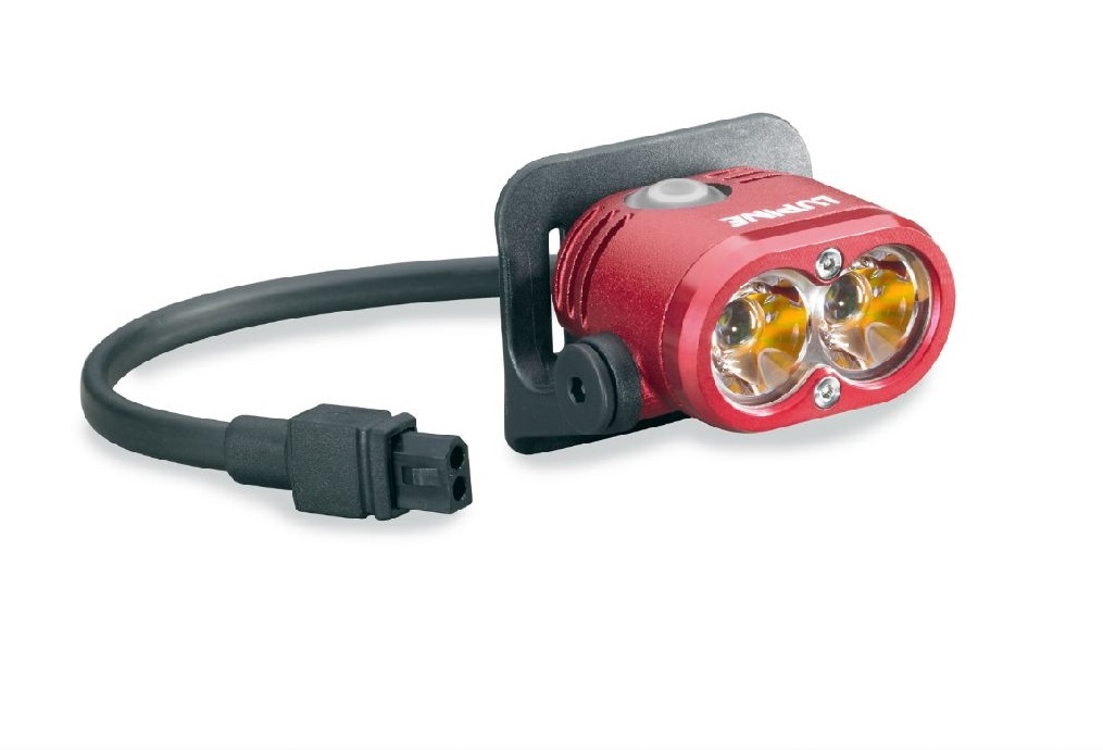 Miért a farkas? -  -  - lámpa, lupine lámpa, lupine, luxus, 