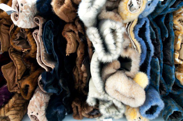 Állatkínzással vádolják a legnagyobb divatházakat - DIVAT&STÍLUS - Hírek  - állatkínzások, állatvédők, last chance for animals, szőrme, 