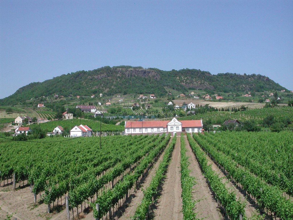 Pannon Bormustra: Lezárult a nevezés, jöhet a verseny -  -  - bor, bormustra, 