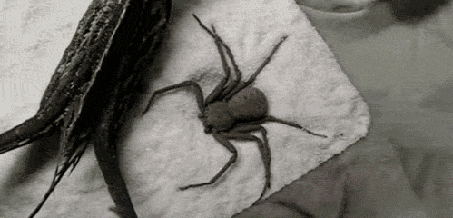 Hétfői gif challenge 10/20 - DIVAT&STÍLUS - Celebrity - celebrity, gif challenge, 