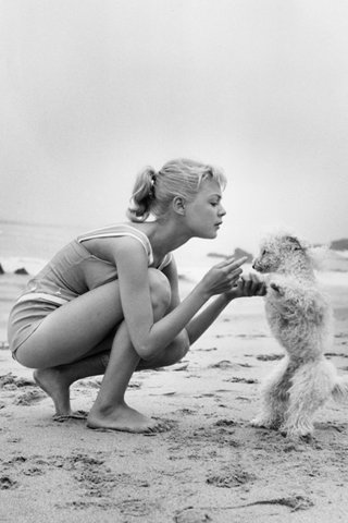 Lófarokdivat egykor és ma - Stílusiskola - Hajápolás  - haj, lófarok, történelem, 