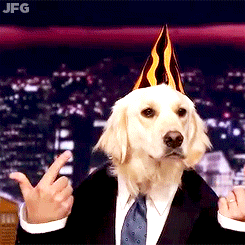 Hétfői gif challenge 11/03 - Halloween edition - DIVAT&STÍLUS - Celebrity - celebrity, gif challenge, molnár dorka, the sense, 