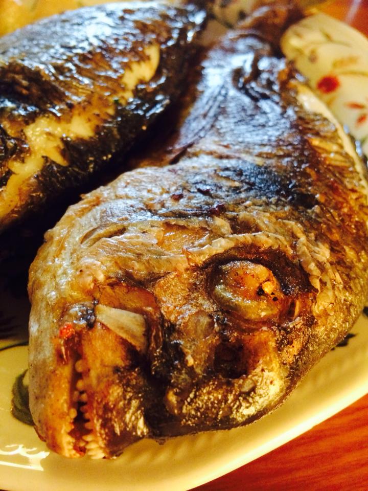 Szörényi Örs konyhája: aranydurbincs - STYLELIFE - Gasztronómia - aranydurbincs, egészség, hal, recept, szörényi örs, 