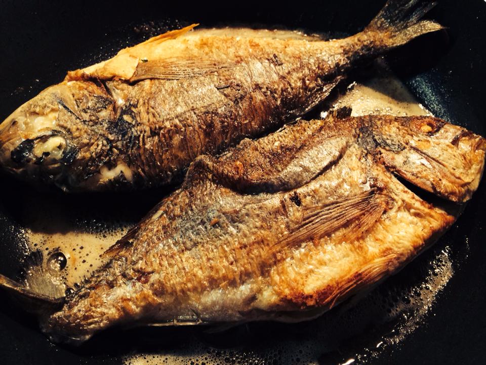 Szörényi Örs konyhája: aranydurbincs - STYLELIFE - Gasztronómia - aranydurbincs, egészség, hal, recept, szörényi örs, 