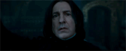 Hétfői gif challenge 12/15 - Harry Potter edition! - DIVAT&STÍLUS - Celebrity - gif chalenge, molnár dorka, the sense, 