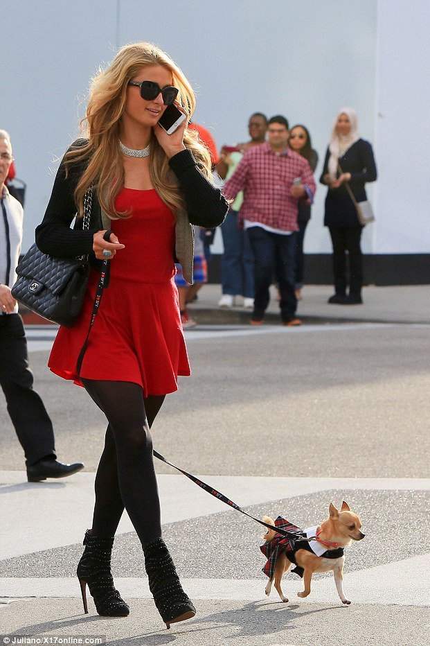 Hétfői gif challenge 12/29 - Toddlers and Tiaras edition! - DIVAT&STÍLUS - Celebrity - 