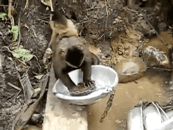 Hétfői gif challenge - 02/09 - DIVAT&STÍLUS - Celebrity - gif challenge, molnár dorka, 