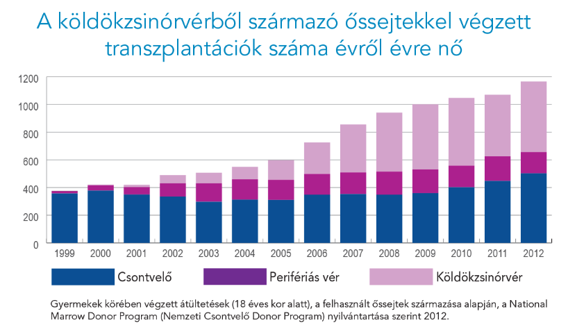 Mindent a közösségi és privát őssejtbankokról - Stylekids -  - anyaság, őssejt, őssejtbank, terhesség, újszülött, 