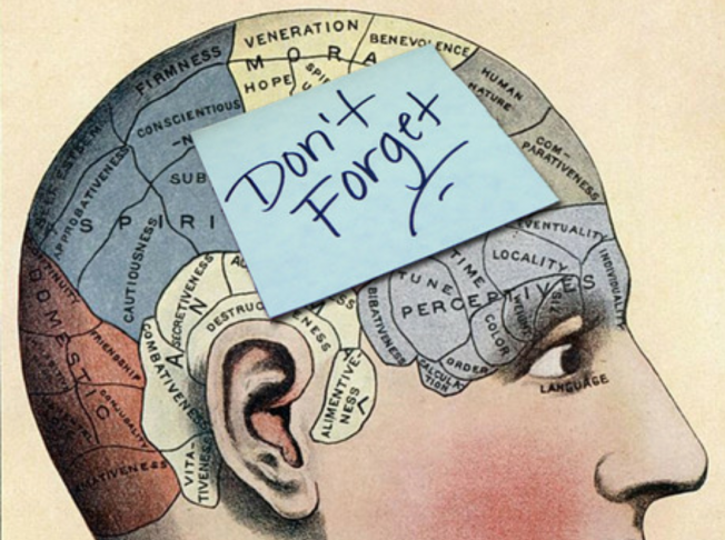 Memóriajavító étrend - STYLELIFE -  - egészség, étrend, memória, 