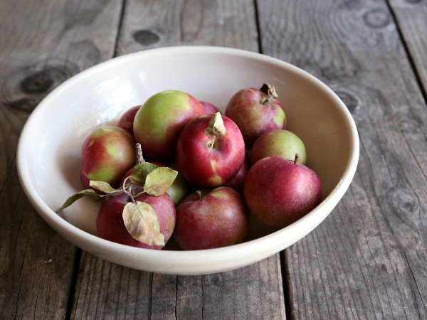 Wonut, az új gasztro trend - STYLELIFE - Gasztronómia - alma, fánk, gasztro, gasztronómia, gofri, recept, wonut, 