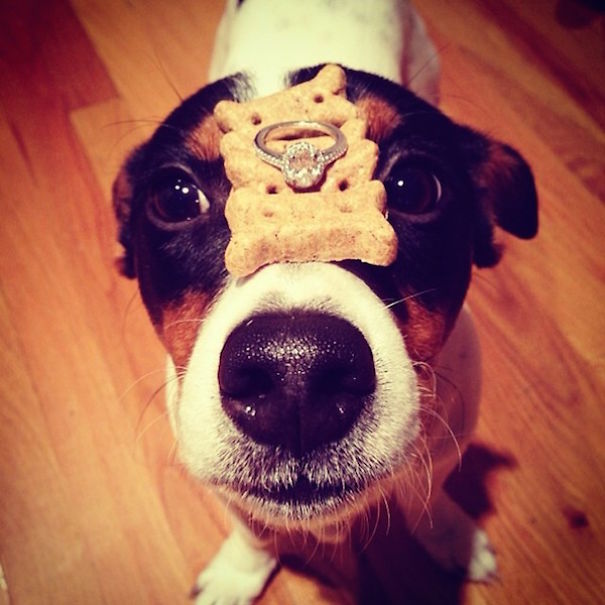 A legromantikusabb lánykérések - STYLENEWS -  - lánykérés, romantika, szerelem, 