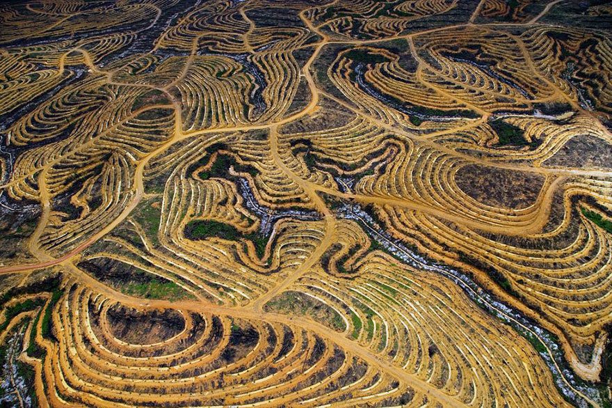 17 sokkoló fotó a túlnépesedés káros hatásairól - STYLENEWS -  - fotók, környezetszennyezés, nagyvilág, 