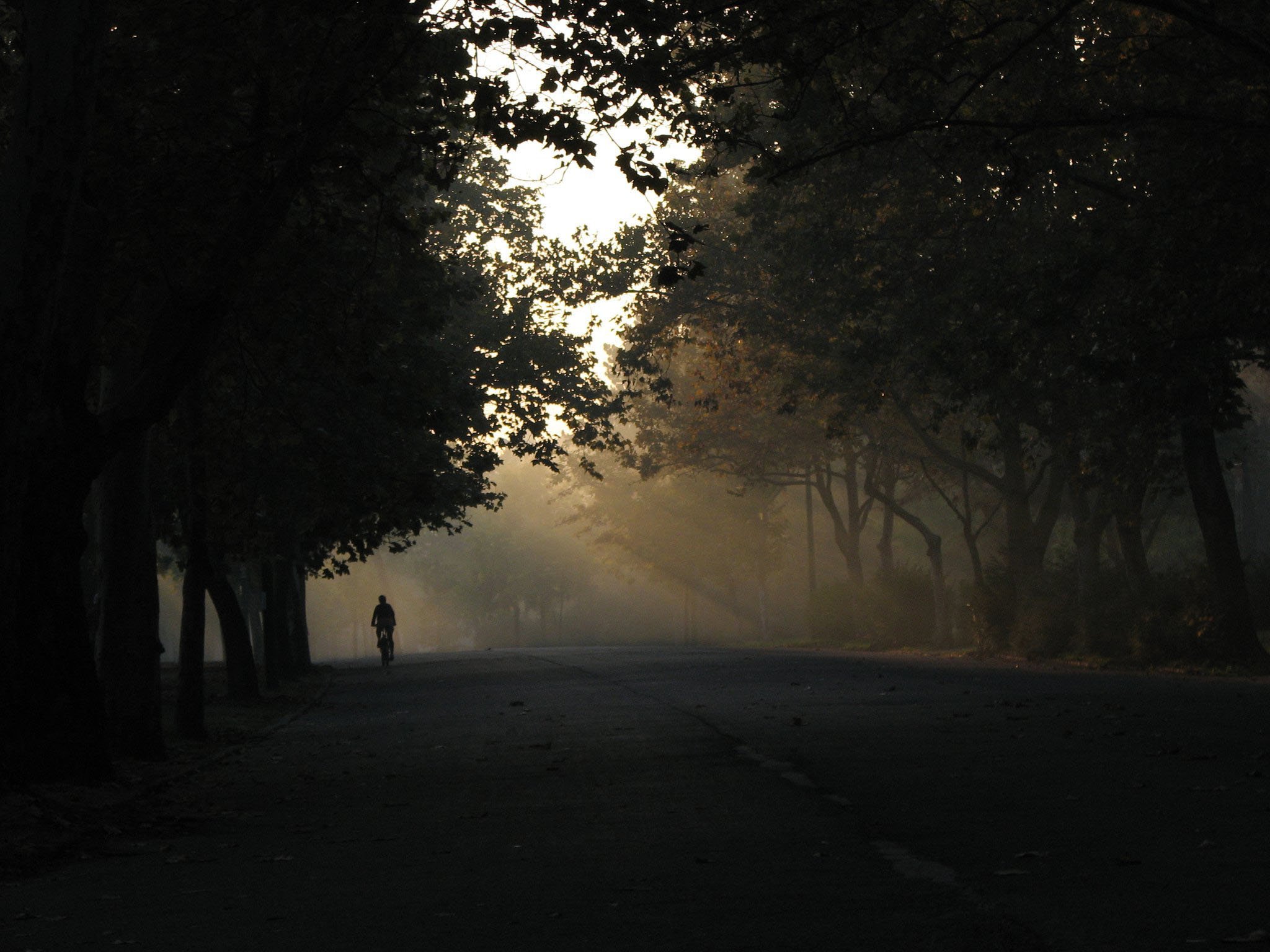 Bringázz a munkába Te is! -  -  - bringázz a munkába, közlekedés, 