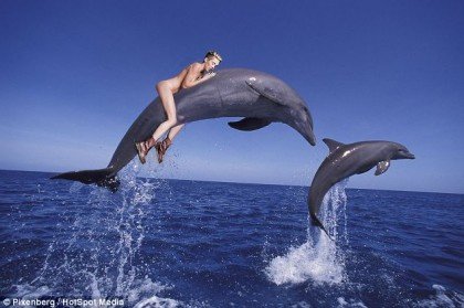 A legviccesebb celeb-ihlette mémek - DIVAT&STÍLUS - Celebrity - hírességek, humor, mém, sztárok, 