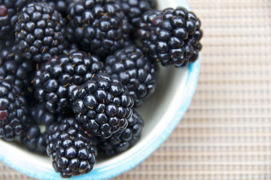 4 étel, ami felveszi a harcot az öregedés és a napégés ellen - STYLELIFE -  - egészség, ételek, napégés, öregedés, 