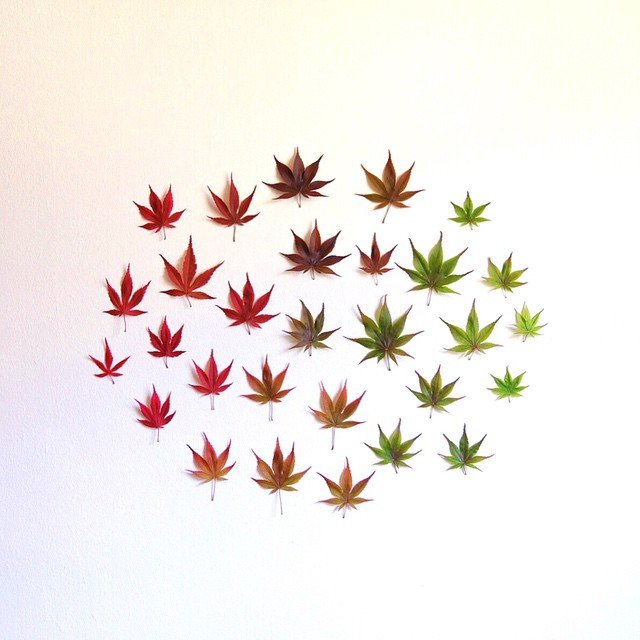 Hétköznapi tárgyak, különös köntösben - STYLENEWS -  - érdekesség, fénykép, fotók, fotózás, művészet, 