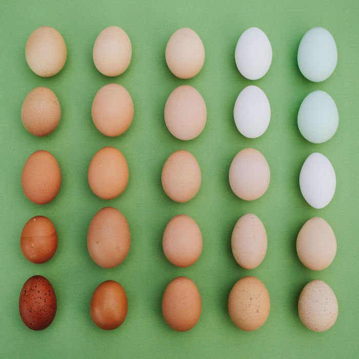 Hétköznapi tárgyak, különös köntösben - STYLENEWS -  - érdekesség, fénykép, fotók, fotózás, művészet, 