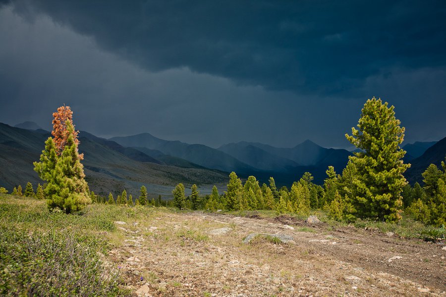 Jeti Szibériában - Utazás -  - érdekességek, Szibéria, utazás, 