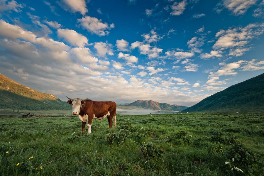Jeti Szibériában - Utazás -  - érdekességek, Szibéria, utazás, 