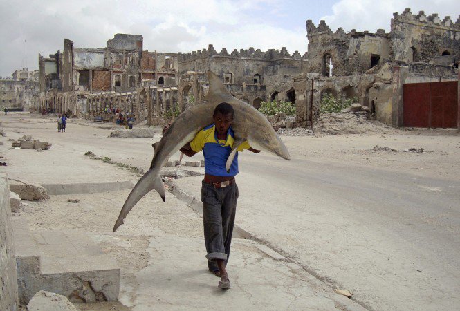 World Press Photo 2011 – a  megrázó képeket díjazták - Fesztelen mindennapok -  - képek, kiállítás, kultúra, sajtófoto, World Press, 