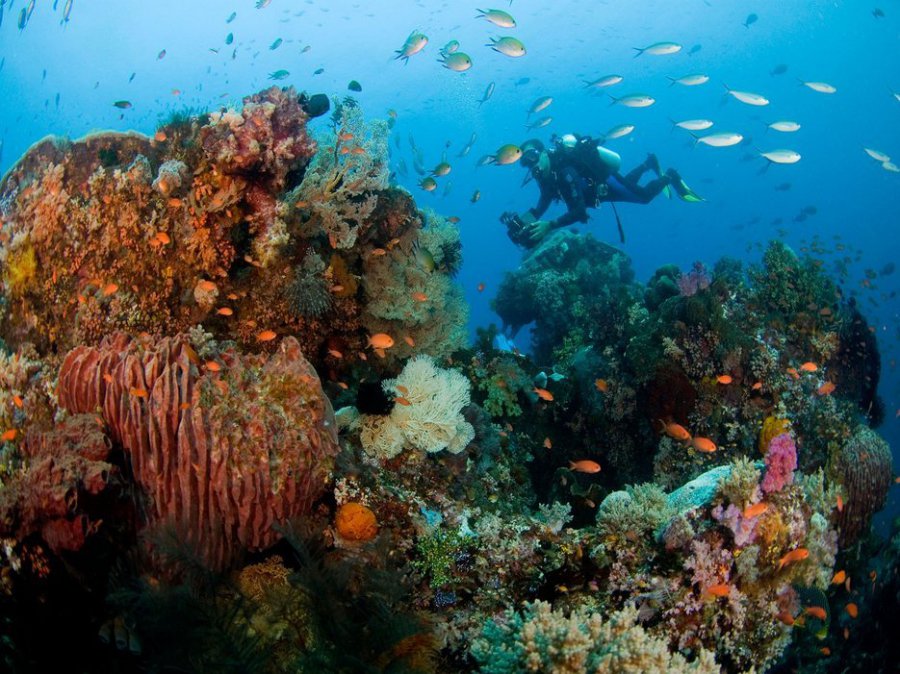 14 elképesztő Nemzeti Park a világból - STYLELIFE - Utazás - nemzeti park, táj, természet, világörökség, 