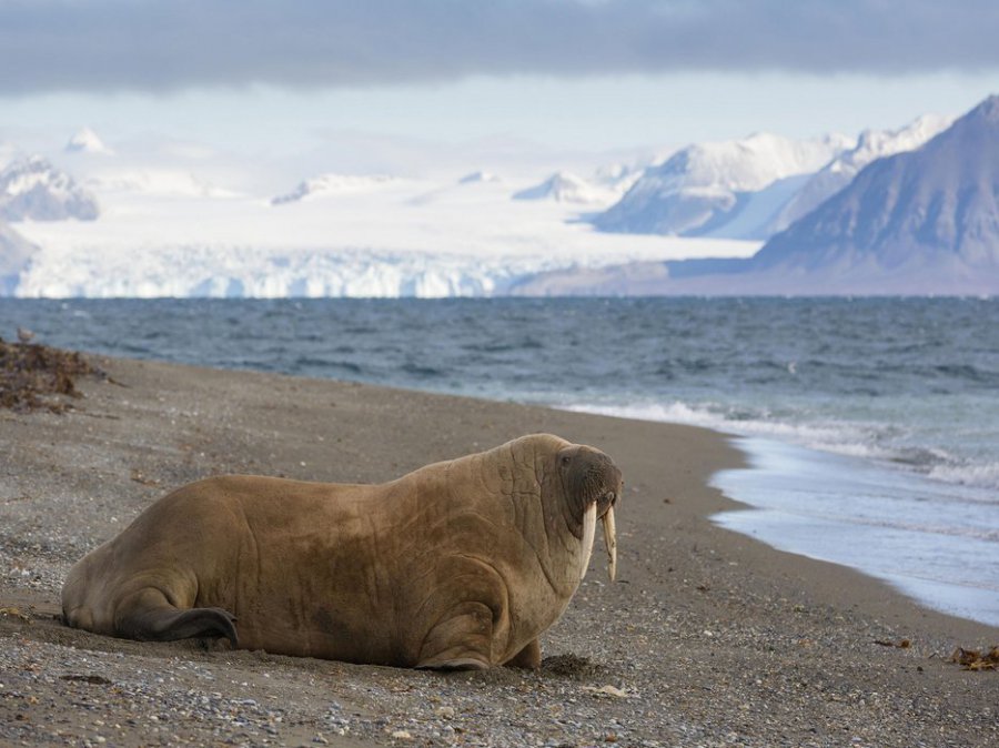 14 elképesztő Nemzeti Park a világból - STYLELIFE - Utazás - nemzeti park, táj, természet, világörökség, 