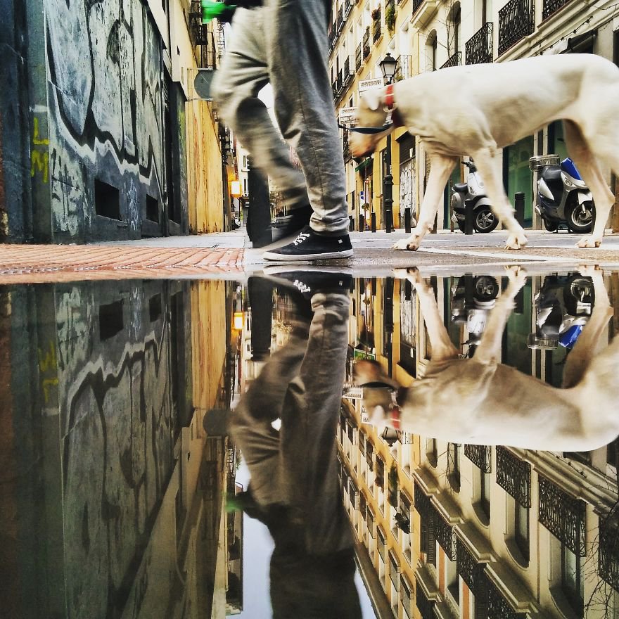 A pocsolyák párhuzamos világa - STYLENEWS - STYLELIFE - fényképészet, fotók, pocsolya, utazás, 