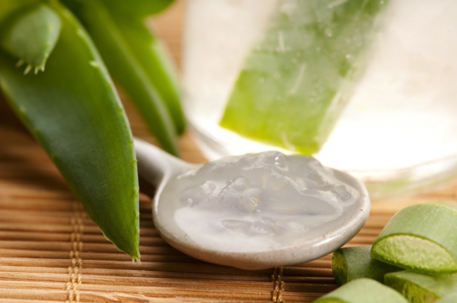 Az áldásos aloe vera -  -  - aloe vera, egészség, hajápoló, méregtelenítés, 